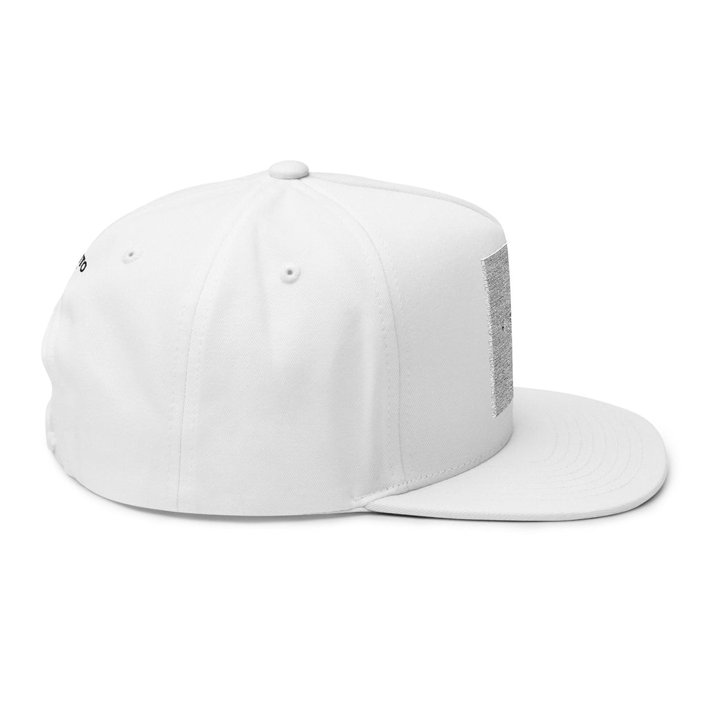 Virento Embroidered Flat Bill Cap